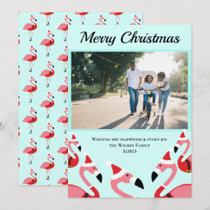 Pink Flamingo Santa Photo Christmas