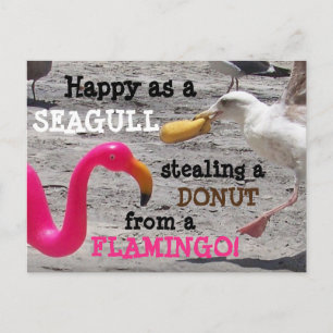 Pink Flamingo Seagull Donut Beach Vacation Humor Postcard