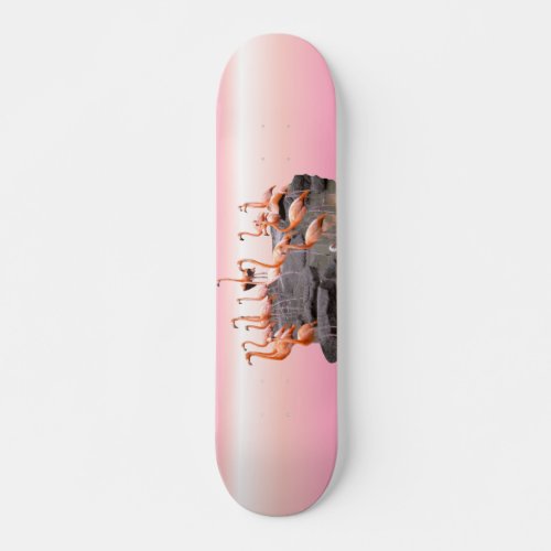 Pink Flamingo Skateboard