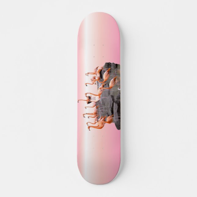 Pink Flamingo Skateboard (Front)