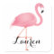 Pink flamingo