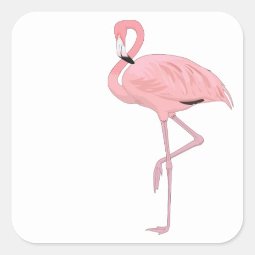 Pink Flamingo Standing One Leg Square Sticker