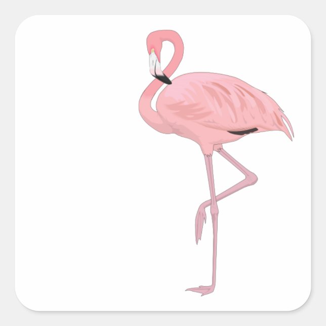 Pink Flamingo Standing One Leg Square Sticker (Front)