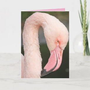 PINK FLAMINGO STAY FABULOUS BIRTHDAY CARD