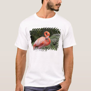 Pink Flamingo T-Shirt