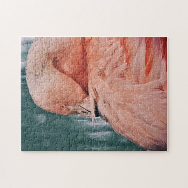 Pink Flamingo Take a Bow Puzzle (Horizontal)