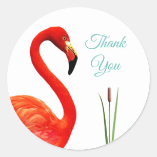 Pink Flamingo Thank You Classic Round Sticker
