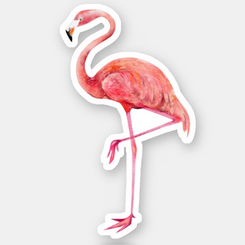 Pink Flamingo Tropical Bird Nature Wildlife Sticker