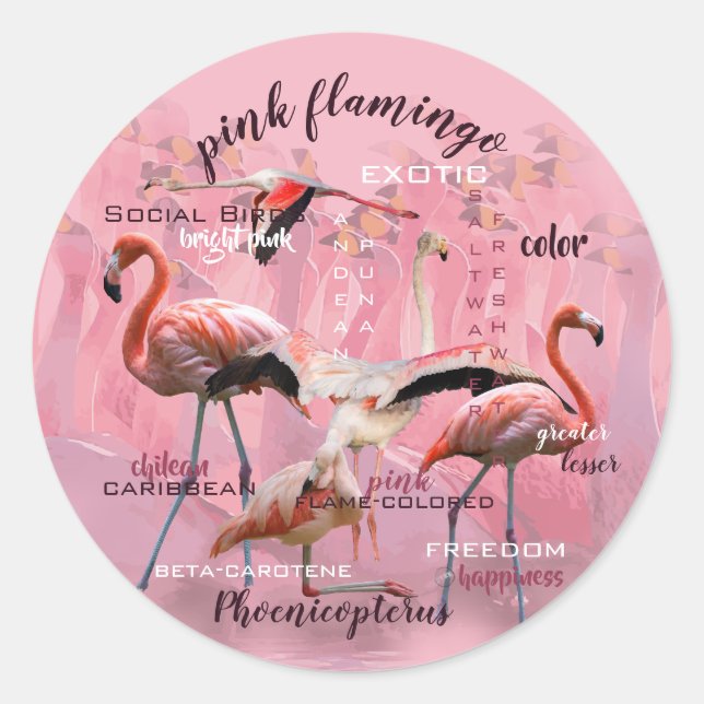 Pink Flamingo Typography | Customized Classic Round Sticker (Front)