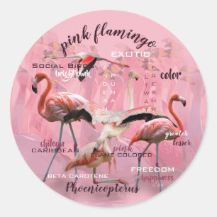 Pink Flamingo Typography Customized Classic Round Sticker