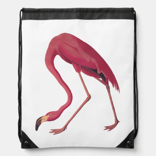 Pink Flamingo Vintage Audubon Drawstring Bag