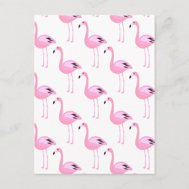 Pink Flamingos 2 2 Postcard (Front)