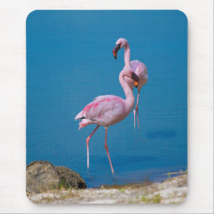 Pink Flamingos at the Lake Mouse Pad