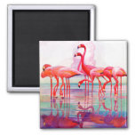 Pink Flamingos By Francis Lee Jaques Magnet at Zazzle