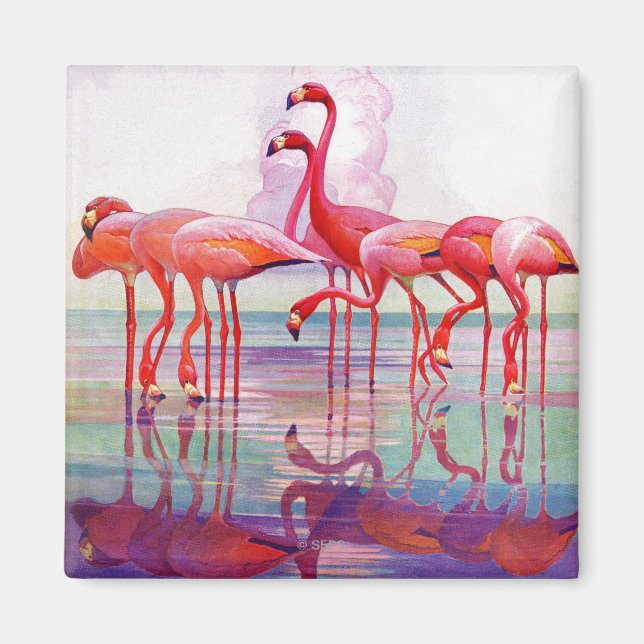 Pink Flamingos by Francis Lee Jaques Magnet (Front)