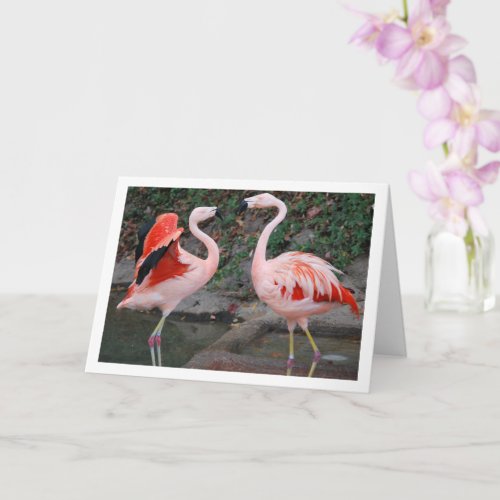 Pink Flamingos Card