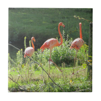 Pink Flamingos Ceramic Tile