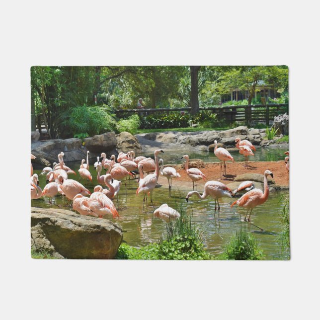 Pink Flamingos Door Mat (Front)