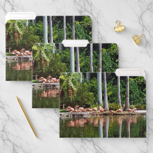 Pink Flamingos File Folder