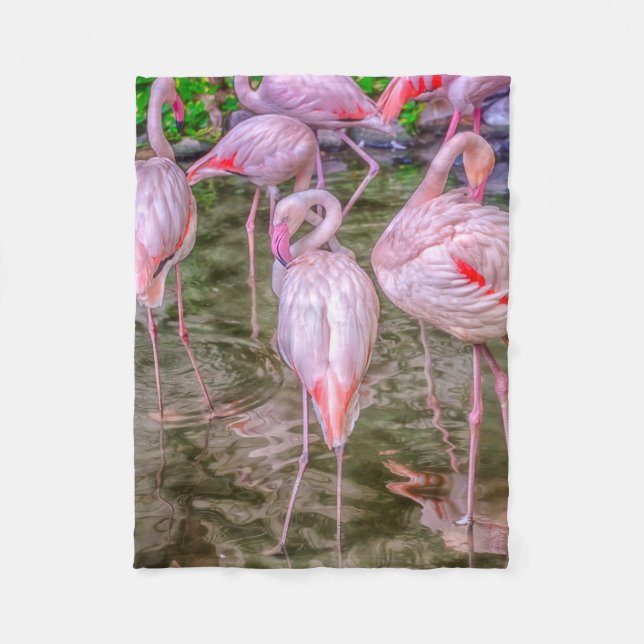 Pink Flamingos Fleece Blanket (Front)