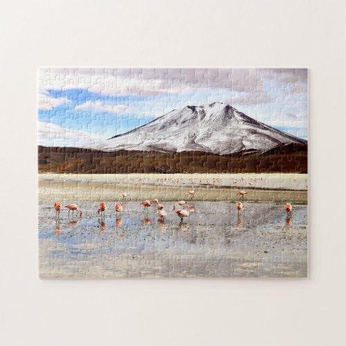 Pink Flamingos in the Andes Jigsaw Puzzle