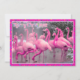 Pink Flamingos in the Snow Merry Christmas Holiday Card