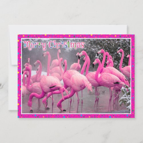 Pink Flamingos in the Snow Merry Christmas Holiday Card
