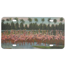 PINK FLAMINGOS license plate