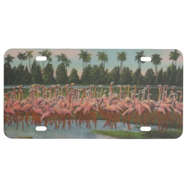 PINK FLAMINGOS license plate (Front)