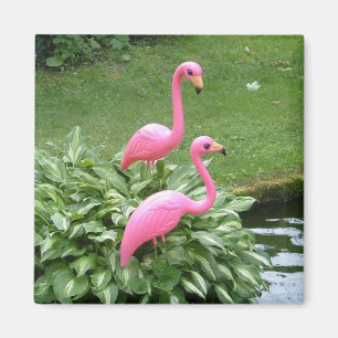 PINK FLAMINGOS magnet (square)