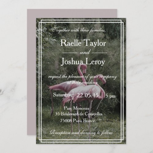 Pink flamingos outdoor nature wedding invitation