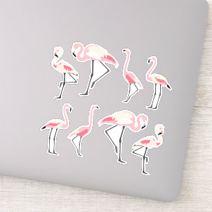 Pink Flamingos Sticker