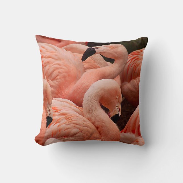 Pink flamingos throw pillow (Front)