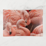Pink Flamingos Trinket Tray at Zazzle