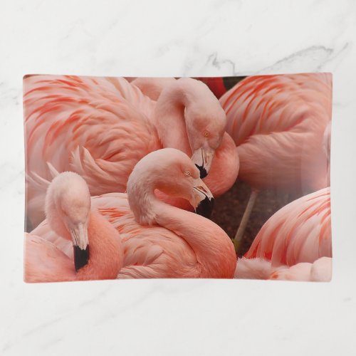 Pink flamingos trinket tray