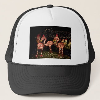 Pink Flamingo's Trucker Hat