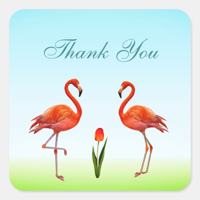 Pink Flamingos & Tulip Flower Thank You Square Sticker (Front)
