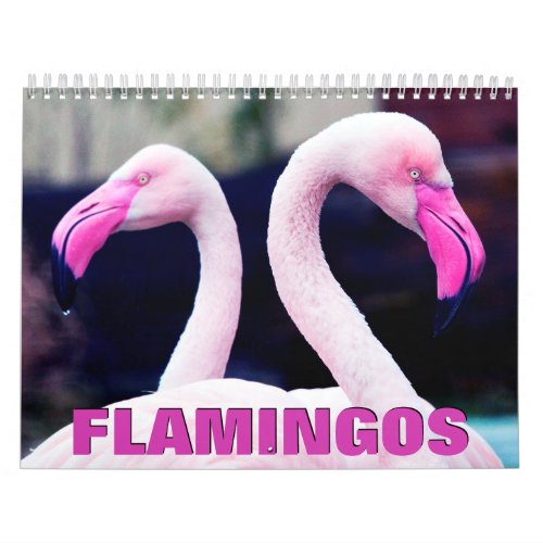 Pink Flamingos Wall Calendar