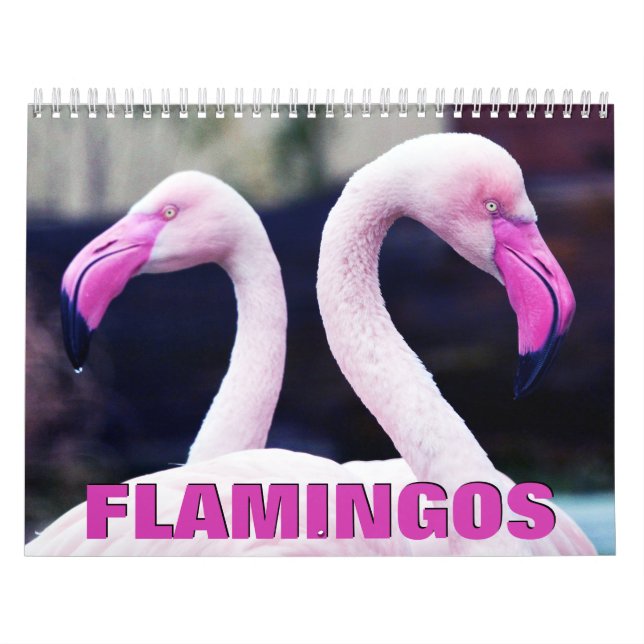 Pink Flamingos Wall Calendar (Cover)