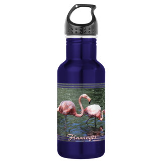 Pink Flamingos Water Bottle