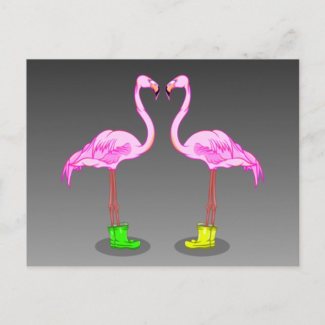 Pink Flamingos Wearing Gumboots Postcard (Front)