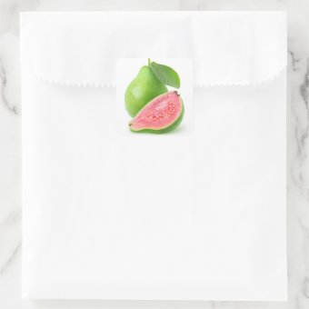 Pink fleshed guava square sticker | Zazzle