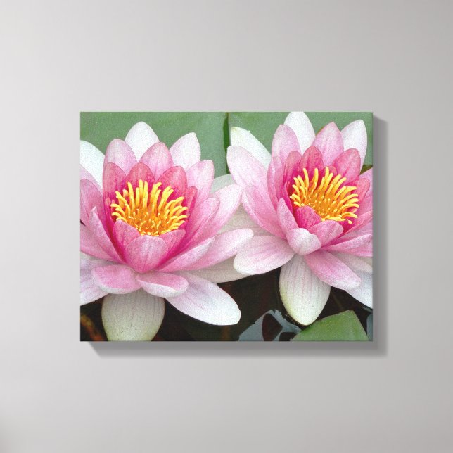 Pink Floating Waterlily Lotus Canvas Print (Front)