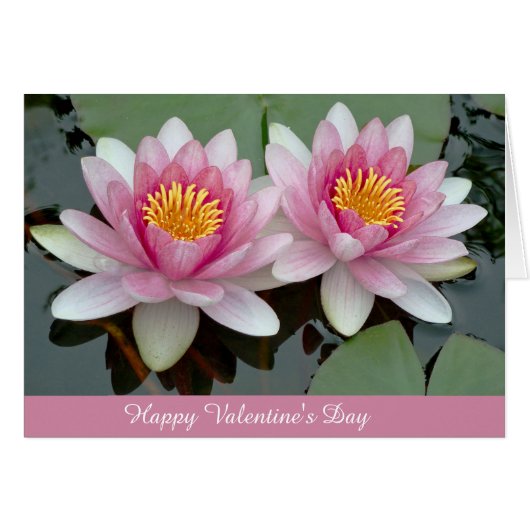 Pink Floating Waterlily Lotus Valentine's Day Card (Front Horizontal)