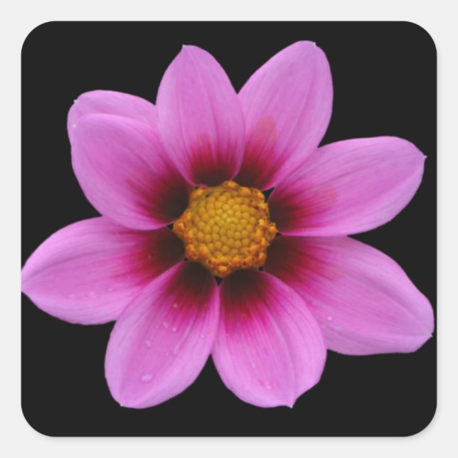 Pink Floral Art Square Sticker (Front)