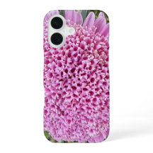 Pink Floral Aster Botanical iPhone 16 Case