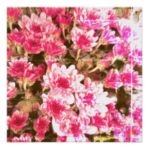 Pink Floral Bloom Pattern – Soft Botanical Design