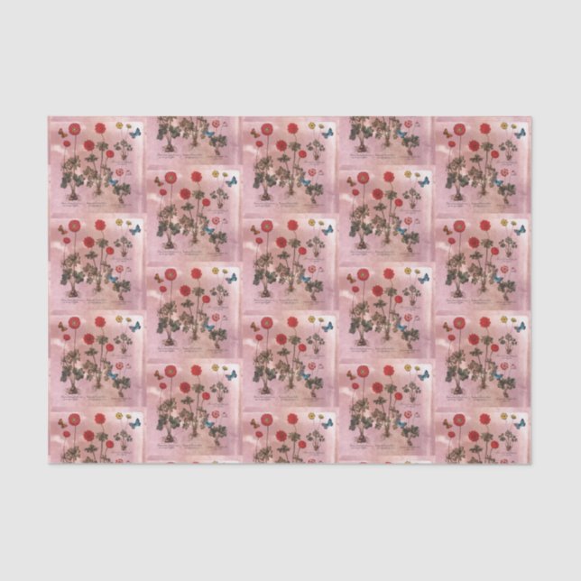 Pink Floral Botanical Tissue Paper (Front)