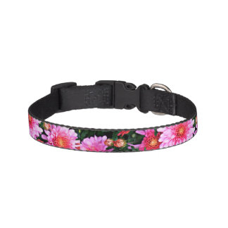 Pink Floral Dog Collar