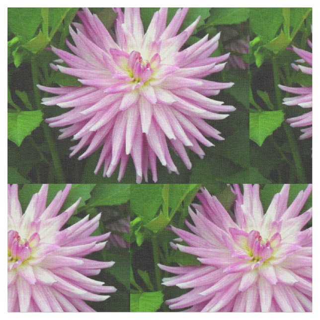 Pink floral fabric (Close Up)